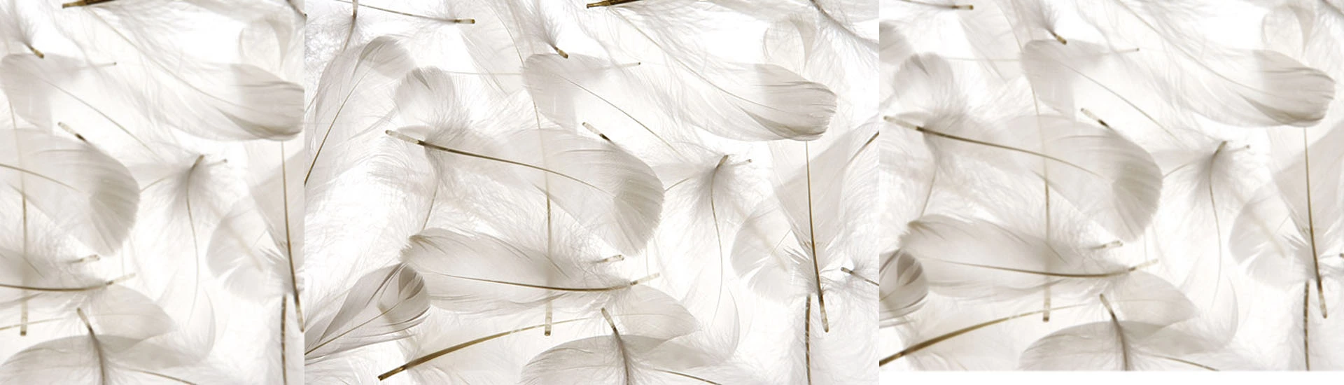 Abyss & Habidecor outlet shop 1 Abyss & Habidecor outlet shop -Abyss & Habidecor outlet shop 未标题 1